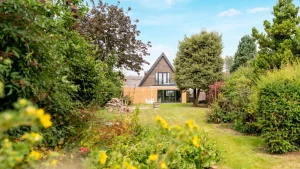 Creating the perfect summer garden